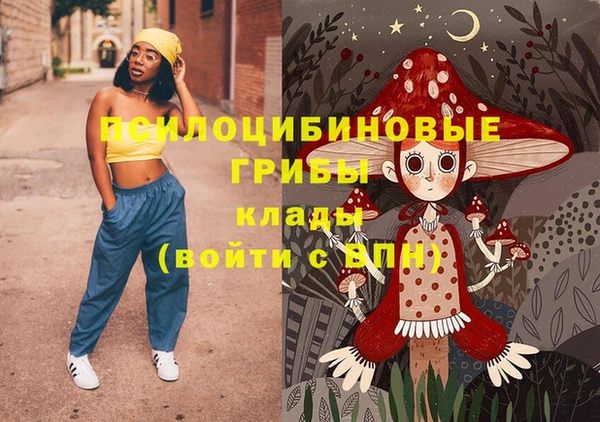Альфа ПВП Армянск